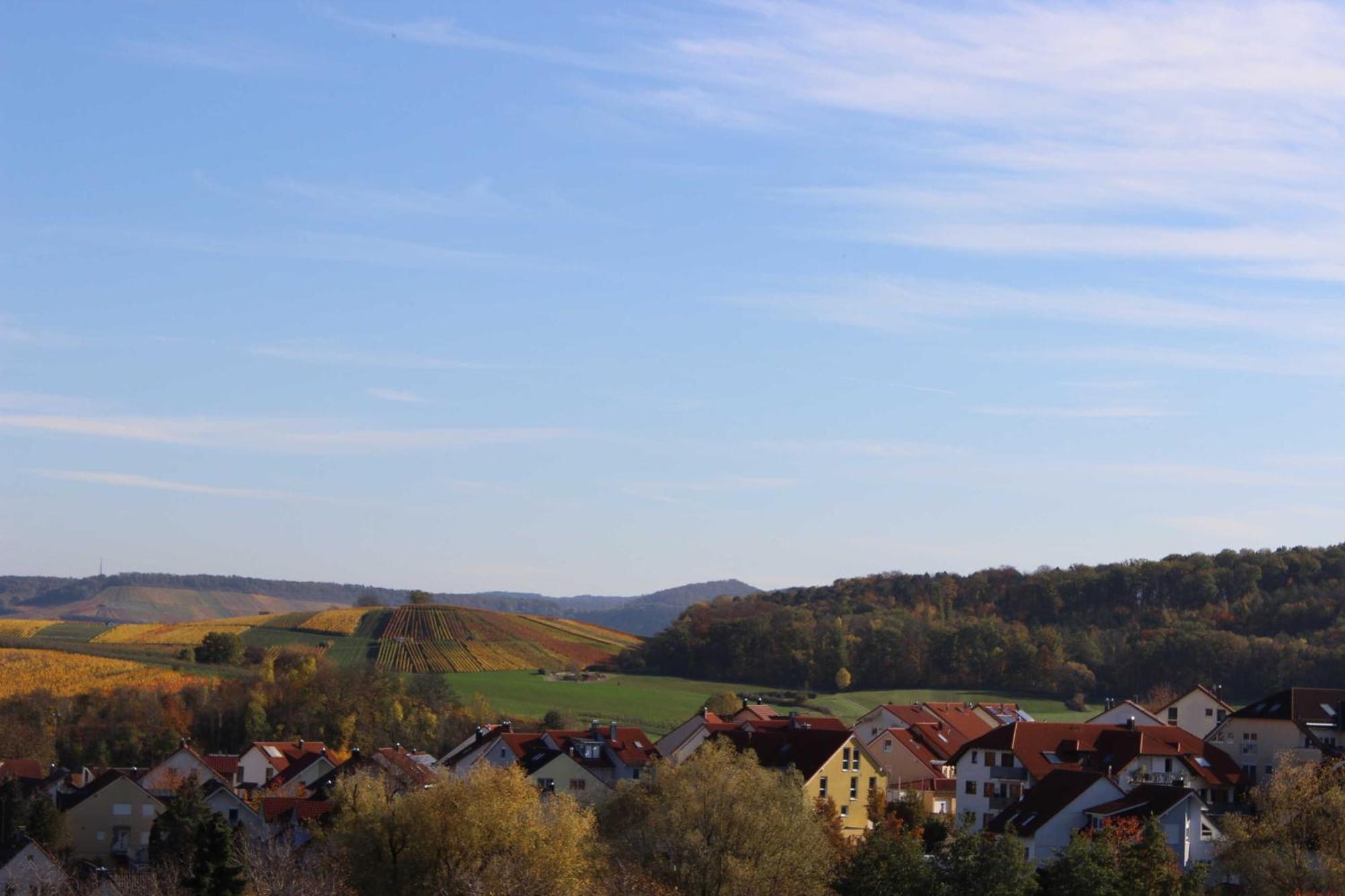 Gaestehaus Zum Wolffenturm Lehrensteinsfeld Værelse billede