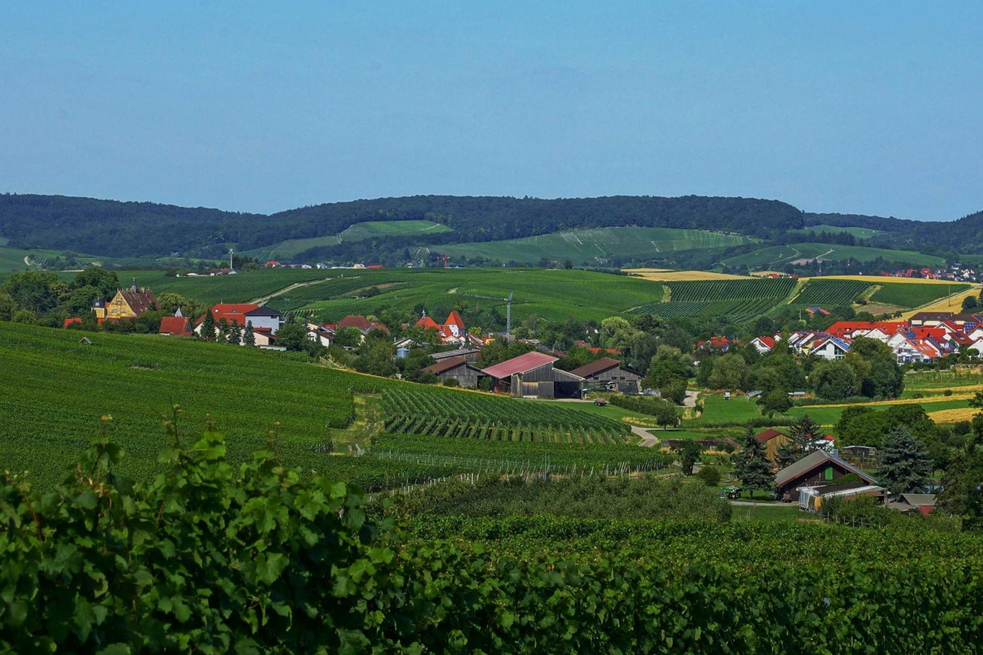 Gaestehaus Zum Wolffenturm Lehrensteinsfeld Eksteriør billede